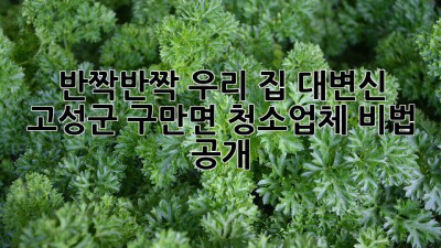 반짝반짝✨ 우리 집 대변신! 고성군 구만면 청소업체 비법 공개 🤫