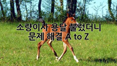 📦 소량이사, 용달 불렀더니 🤯? 문제 해결 A to Z